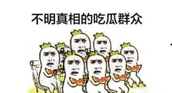四人吃瓜群众视频大全,吃瓜群众视频大全，揭秘娱乐圈幕后故事