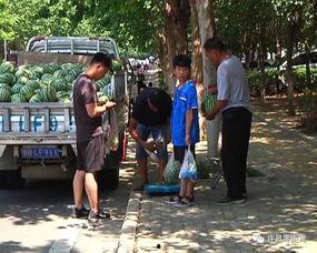 即墨吃瓜群众事件视频曝光,视频曝光揭示惊人真相