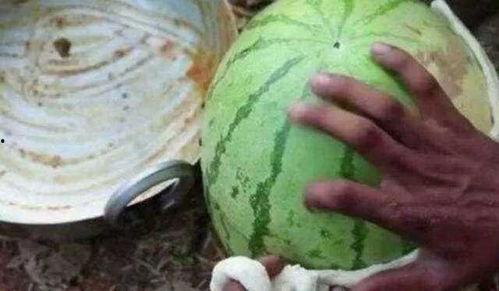 西瓜视频奶奶吃瓜,奶奶的甜蜜吃瓜时光