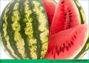 西瓜视频天天吃瓜,天天吃瓜，揭秘网络热点背后的真相